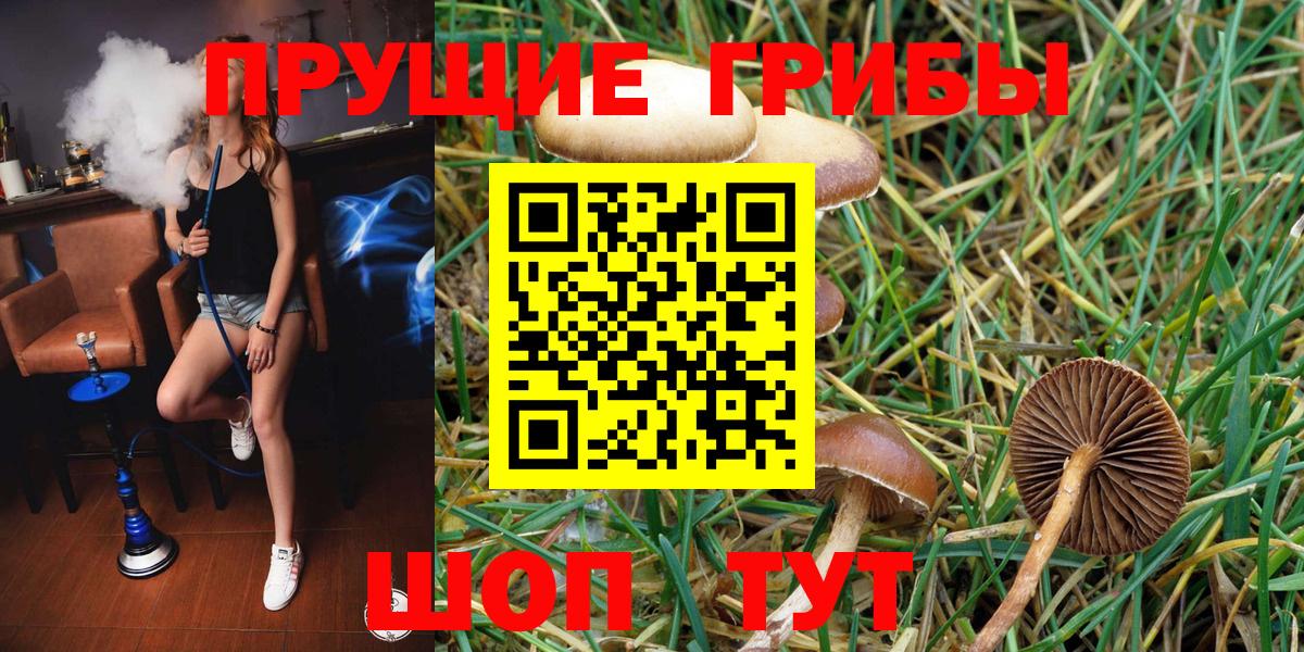 Псилоцибиновые грибы мухоморы Коркино