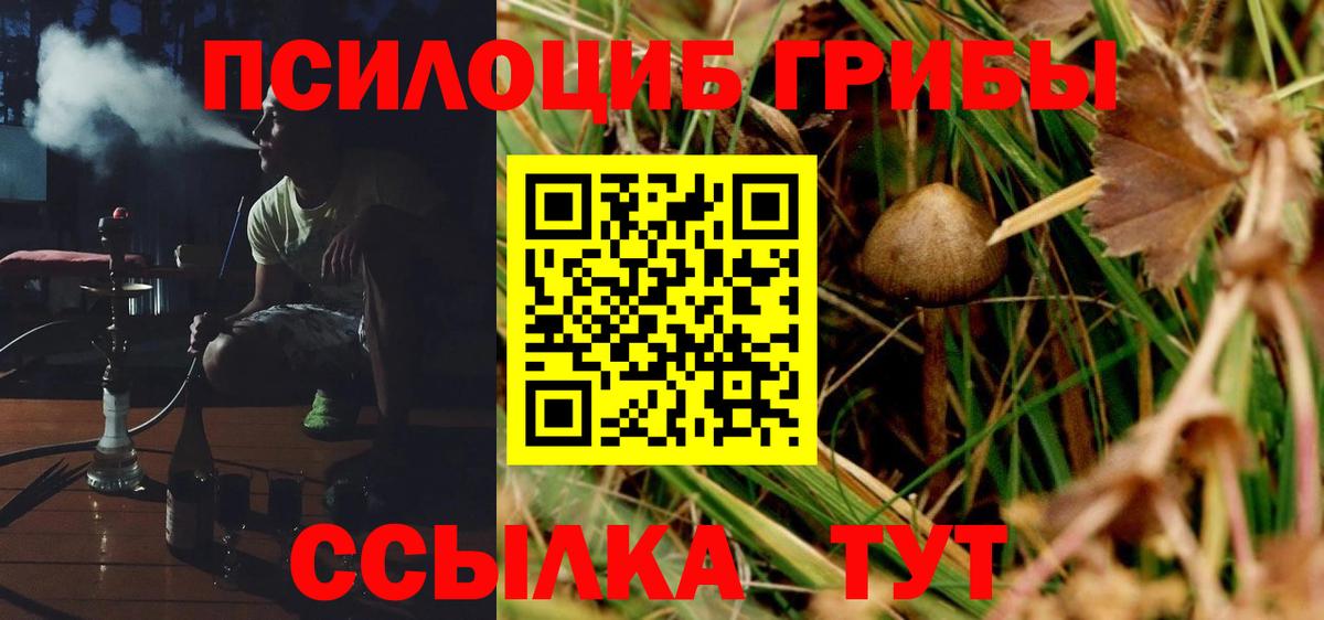 Коркино  Вход с VPN  Амфетамин   Меф МЯУ МЯУ   Гашиш  Каннабис  Бошки Шишки  Кокаин 