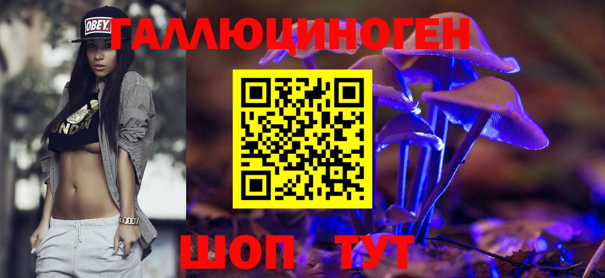 где продают наркотики  Галлюциногенные грибы ЛСД  Вход с VPN  Коркино  Псилоцибиновые грибы Psilocybine cubensis 